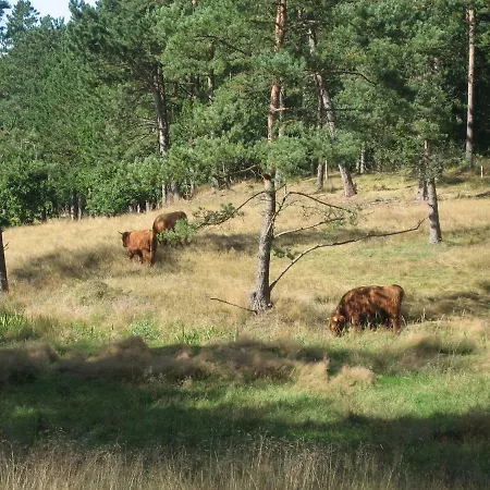 Dejligt Med Panoramaudsigt Ebeltoft