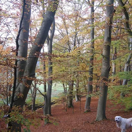 Dejligt Med Panoramaudsigt Vakantiehuis *