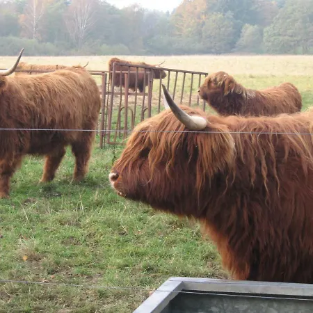 Dejligt Med Panoramaudsigt Ebeltoft