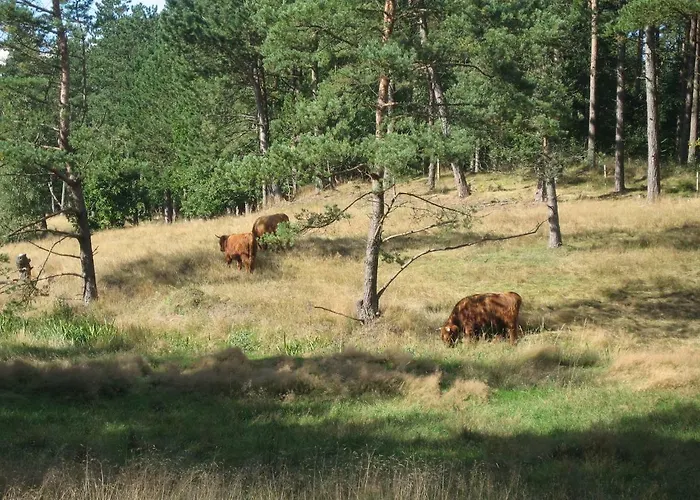 Dejligt Med Panoramaudsigt אבלטופט